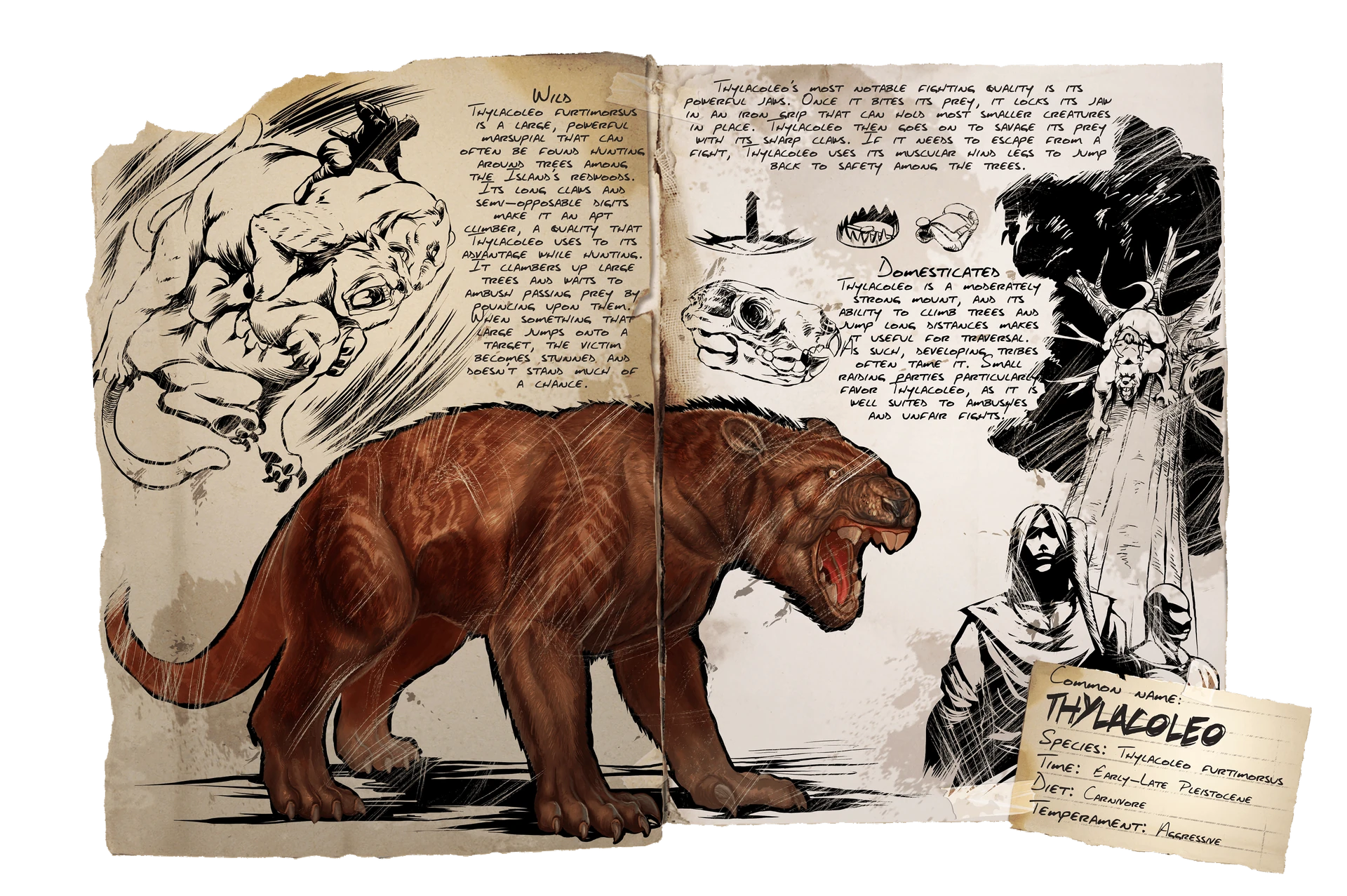 Dossier_Thylacoleo.webp