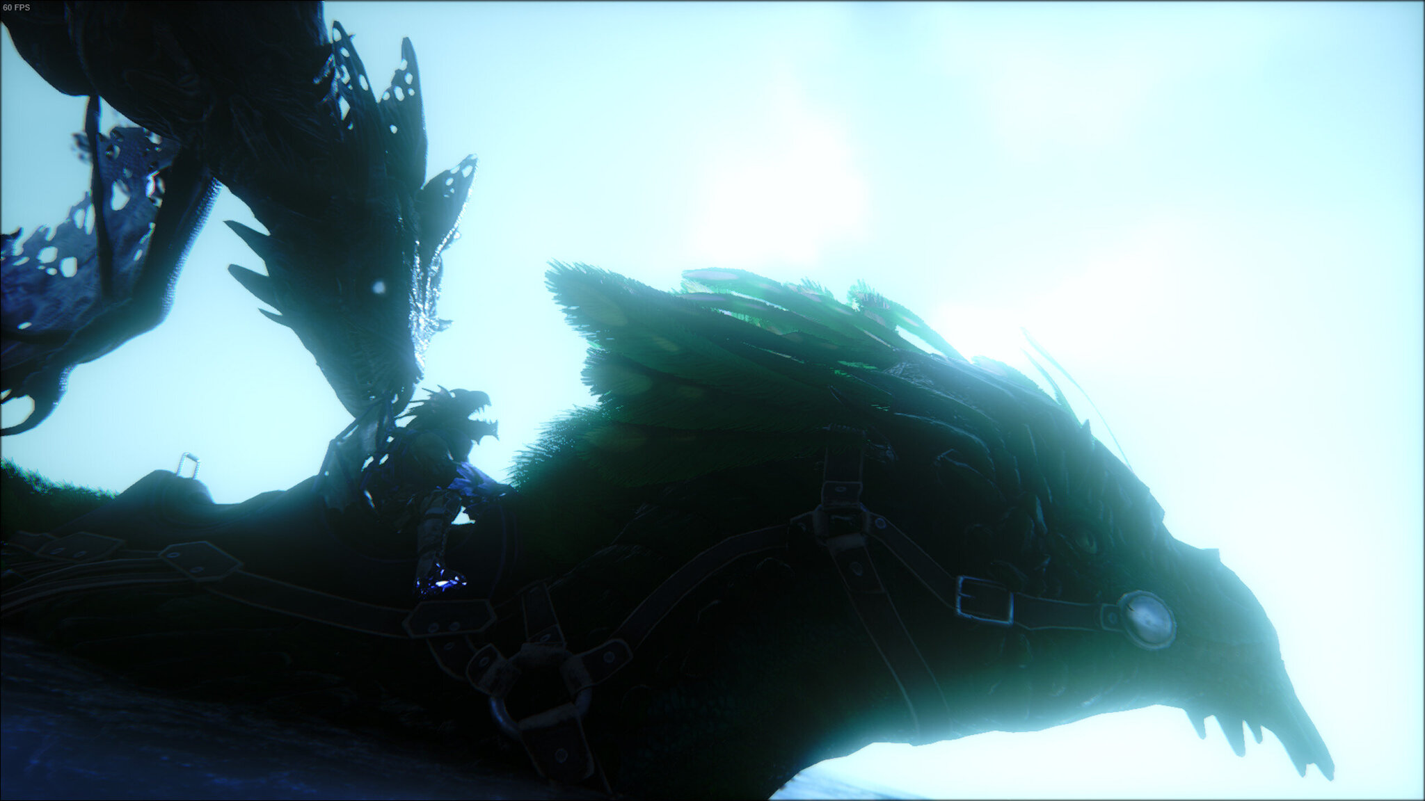 ARK  Survival Evolved Screenshot 2019.05.08 - 11.26.19.17.jpg