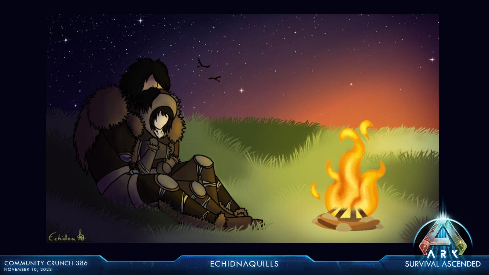 large.ASA_CommunityCrunch_386_EchidnaQuills_1920x1080.jpg