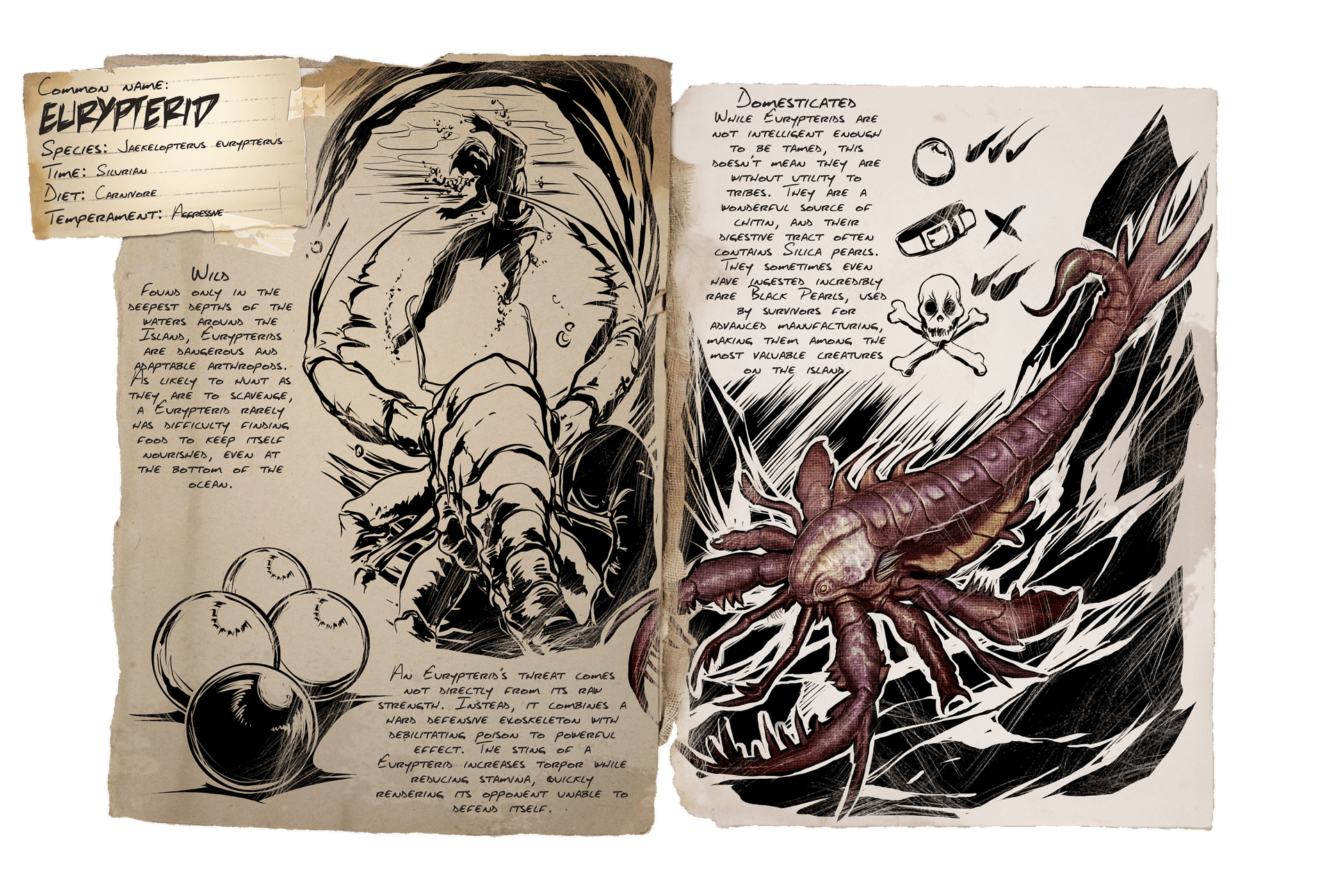 1920px-Dossier_Eurypterid.png