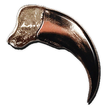 228px-Thylacoleo_Hook-Claw.webp