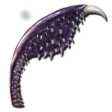 228px-Tusoteuthis_Tentacle.webp