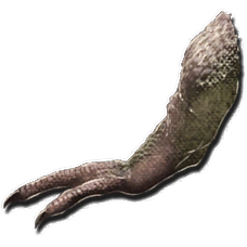 228px-Tyrannosaurus_Arm.webp