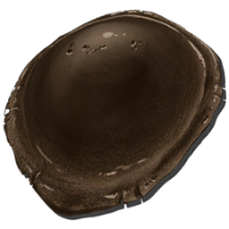 Chitin.webp