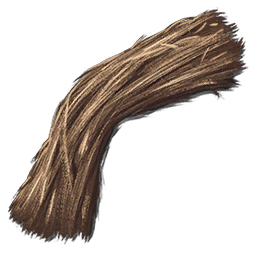 Fiber.webp
