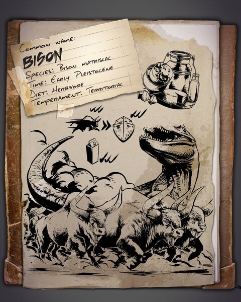 Bison Dossier Klein