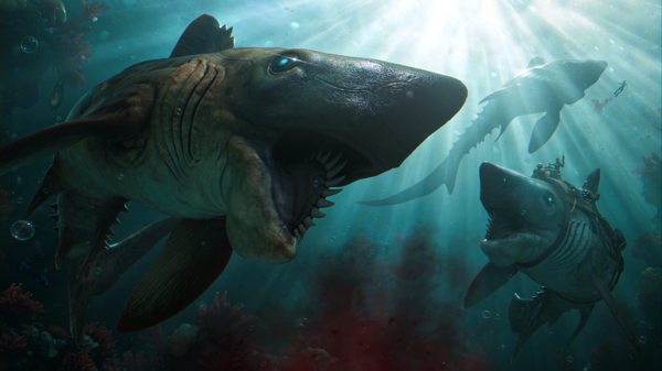 ASA Helicoprion Wallpaper