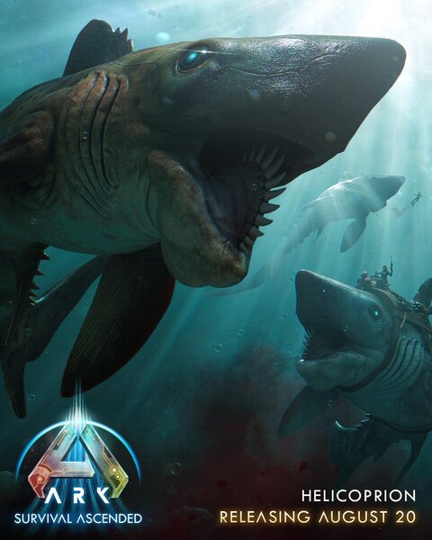 ASA Helicoprion klein