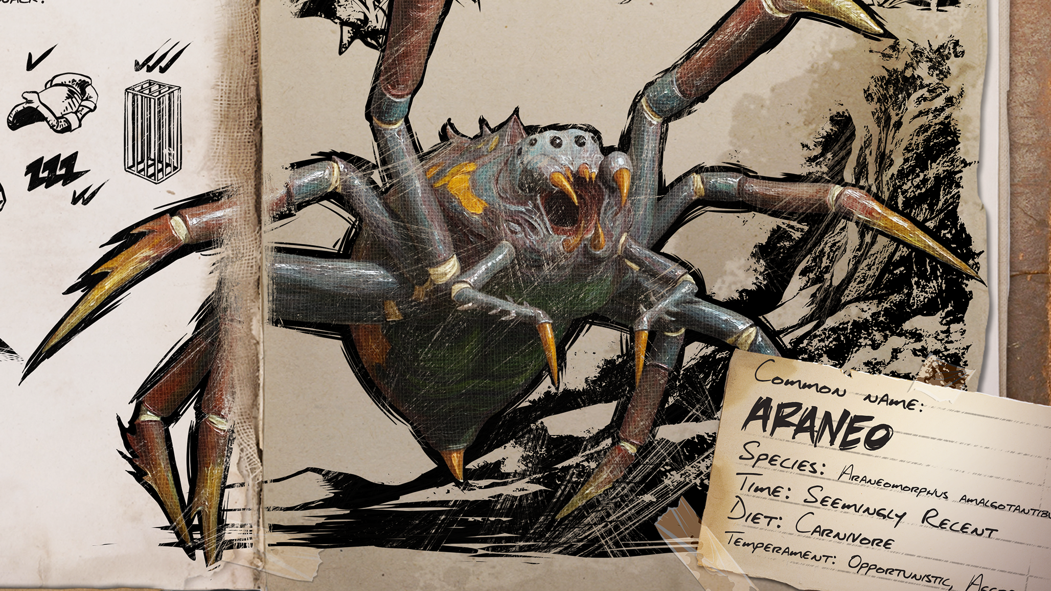 Mehr Informationen zu "Wieder Eingefädelelt: Araneo kehrt zurück!"