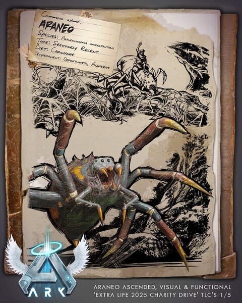 ASA Dossier Araneo in schmal