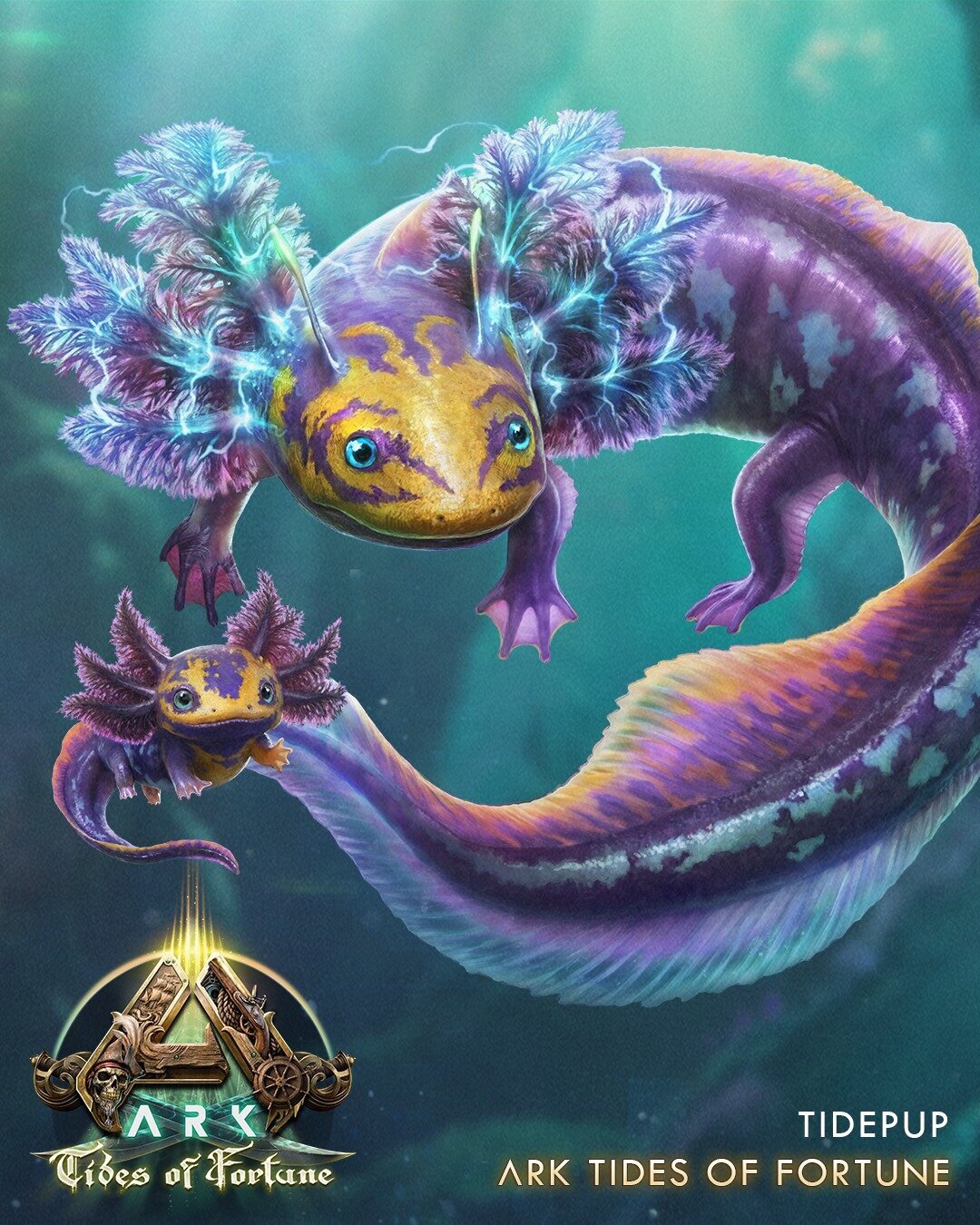 large.ASA_Tidepup_small.jpg.b36c1263c1db