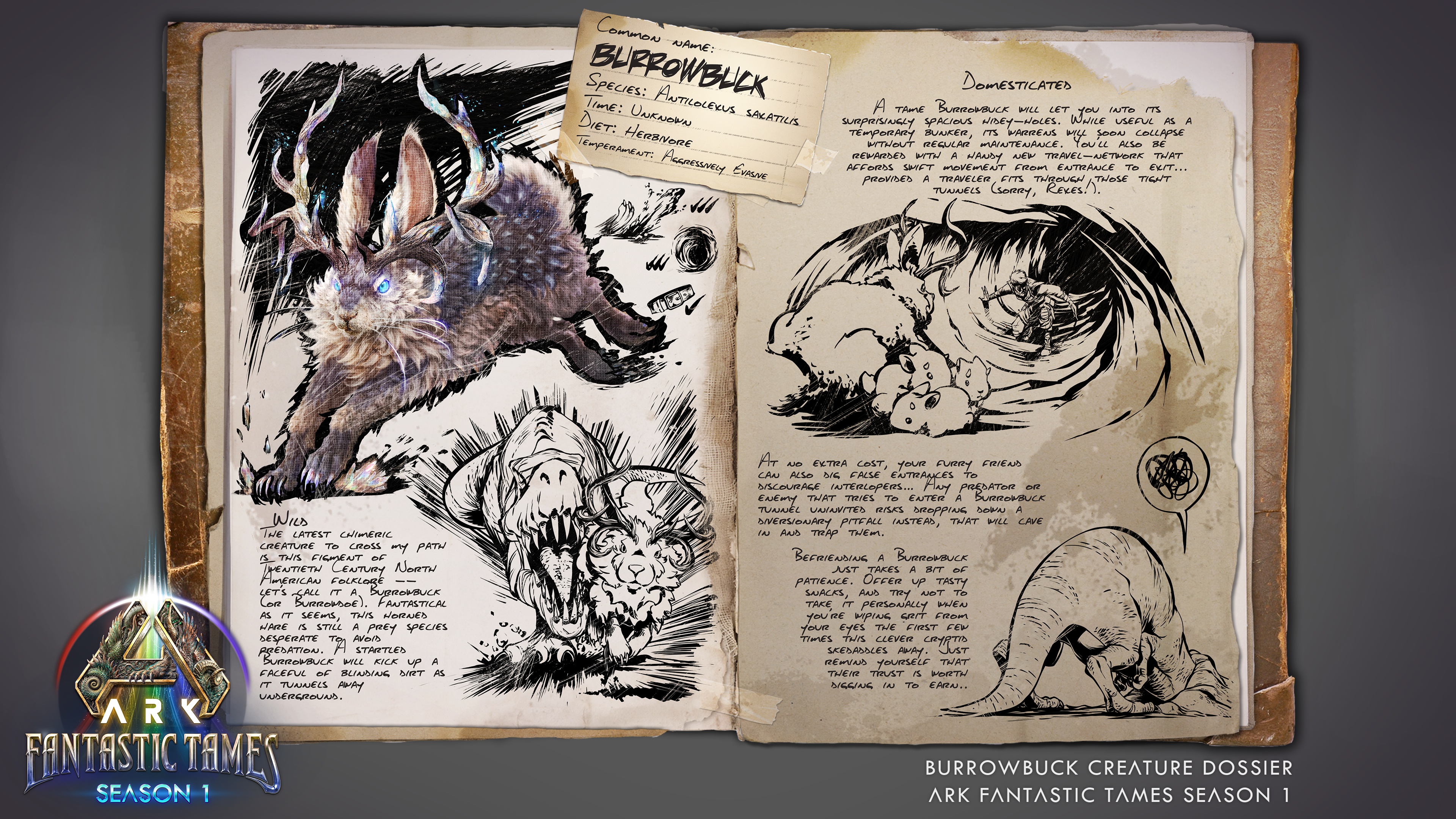 Dossier Burrowbuck mit Logo