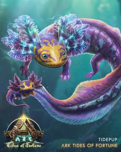 ASA Tidepup in klein