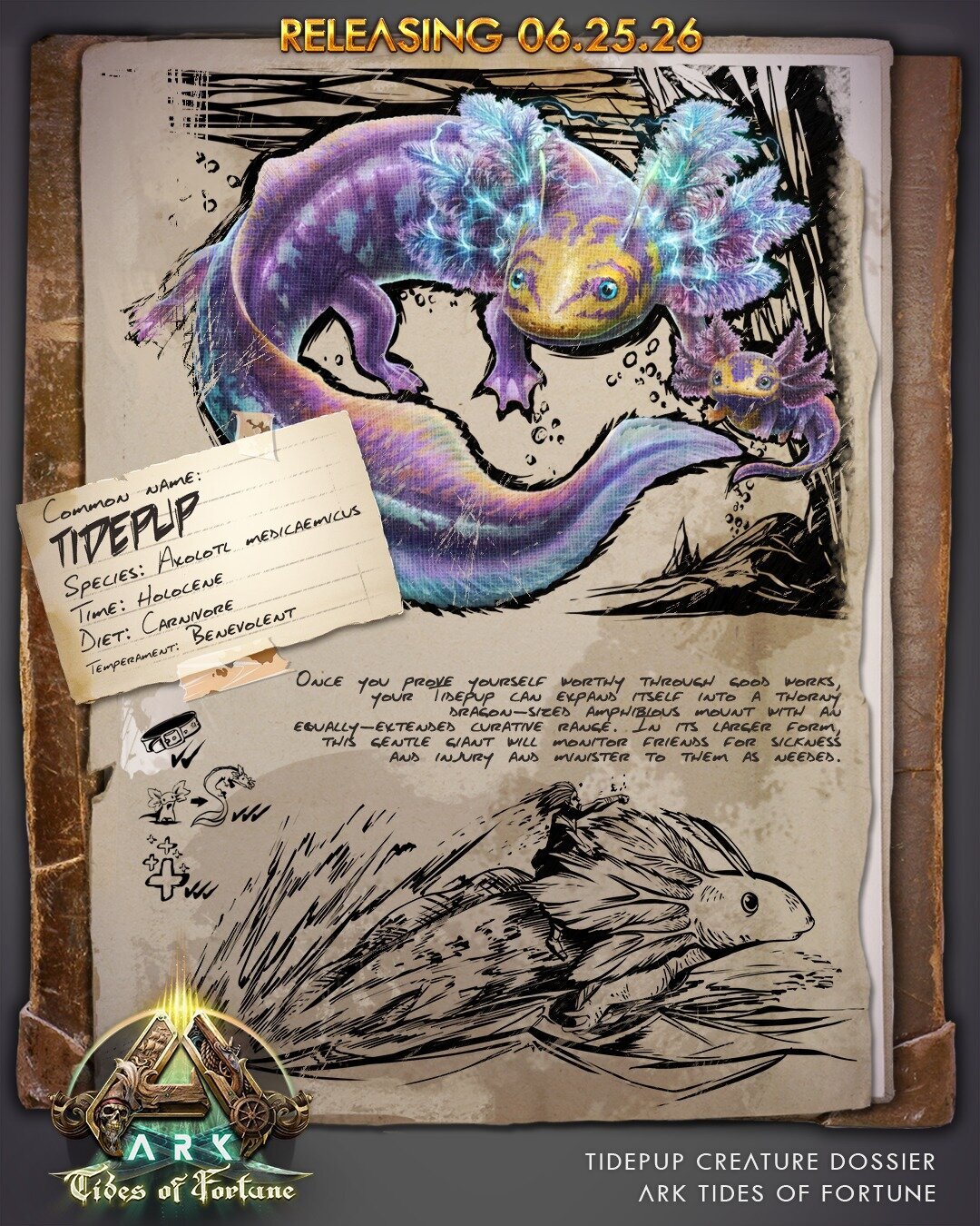 large.Dossier_Tidepup_small.jpg.08b46d19