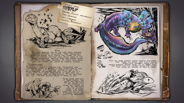 Dossier Tidepup