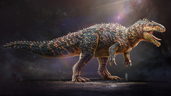ASA Giganatosaurus Wallpaper